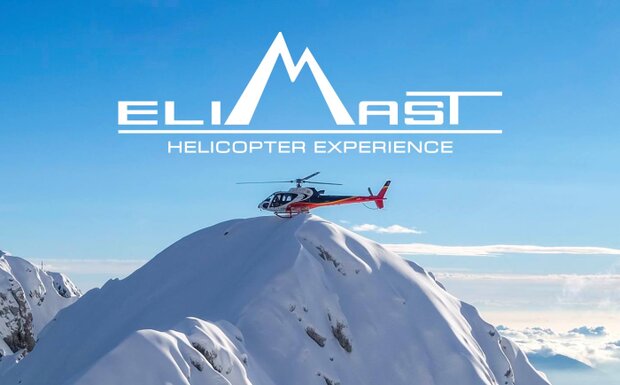 ELIMAST Experience