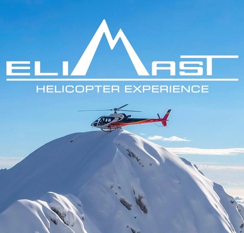 ELIMAST Experience